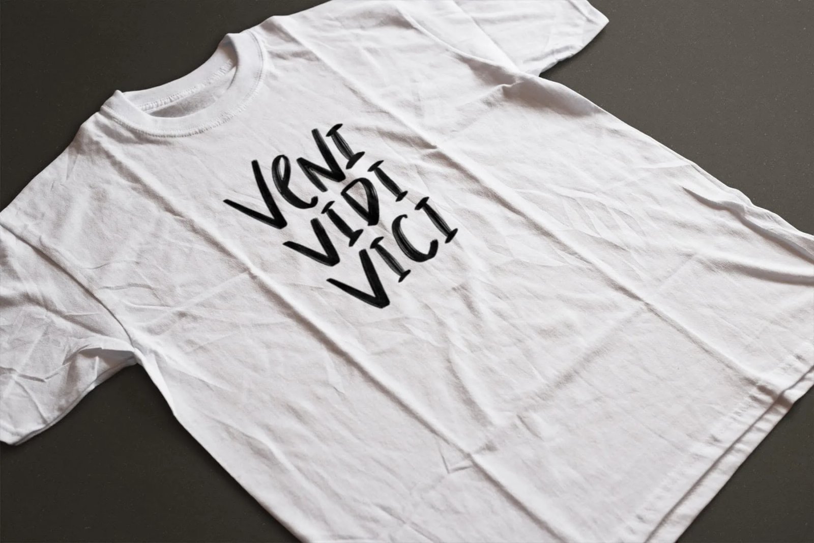 Veni Vidi Vici Tee